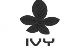 Ivy是什么意思？（ivy含义）