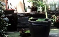 院子中的水缸漏水对家庭有什么影响？