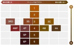 棕色在日本代表什么？（棕色什么含义）