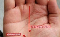手掌只有两条纹有什么意思？（手纹的含义）