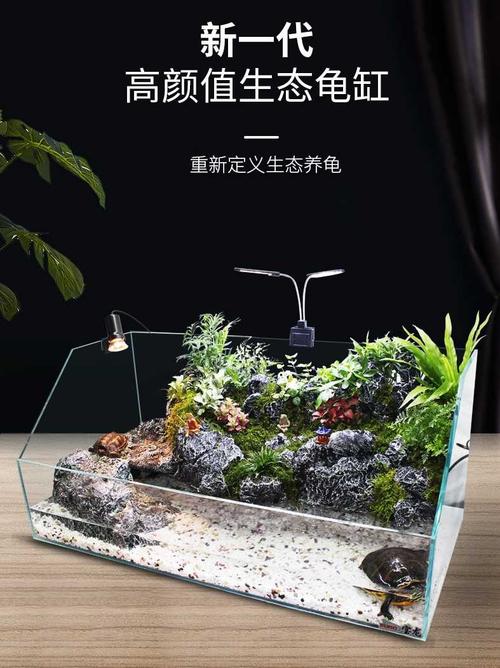 乌龟玻璃缸养什么植物合适？-图1