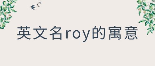 roy是名还是姓？（roy含义）-图1
