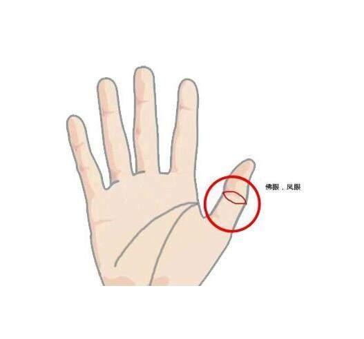 指头关节的皱纹叫什么名字？（指节纹含义）-图2